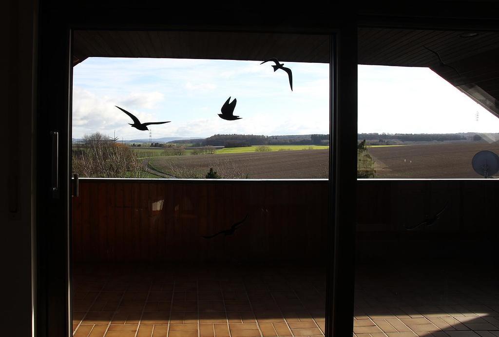 Ferienwohnung Panoramaweg Sohren Esterno foto